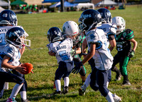 Mokena 8U 8-31-16