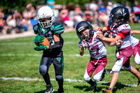 Mokena 8U 8-31-12