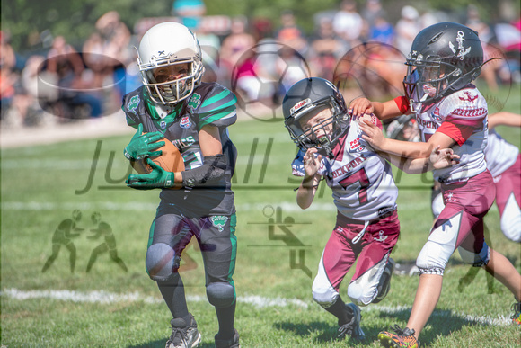 Mokena 8U 8-31-12