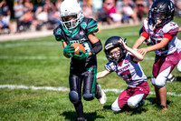 Mokena 8U 8-31-13