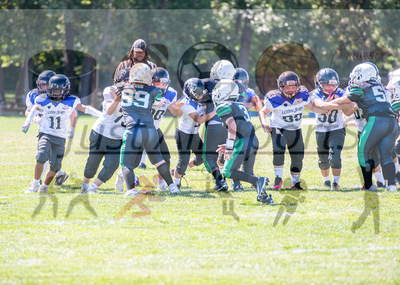 Mokena 9U 8-31-16