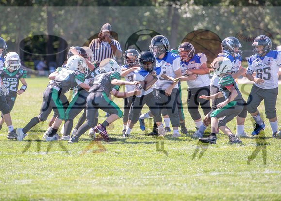 Mokena 9U 8-31-17