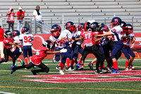 131-IMG_3617