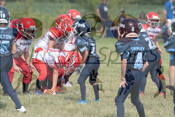 8.24.24 8U ARGOS V FOXES-8101