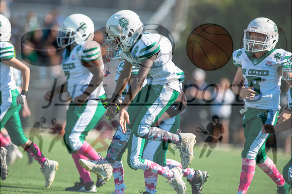 10.6.24 Celtics v Bears_JA0033