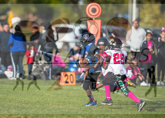 10.13.24 Bears v Tide_JA0556