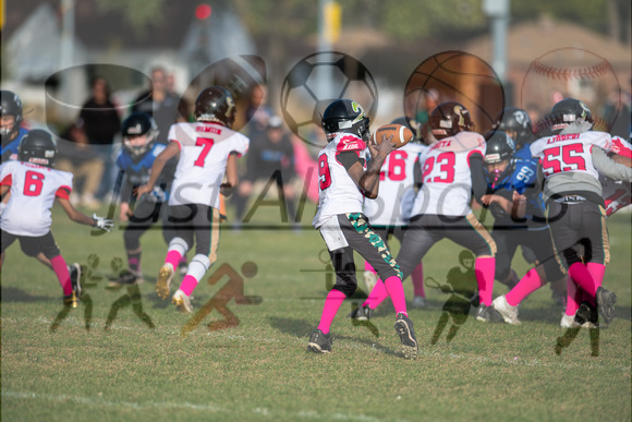 10.13.24 Bears v Tide_JA0585