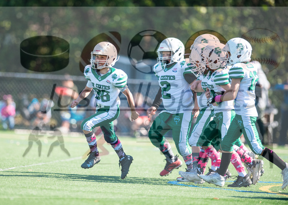 10.6.24 Celtics v Bears_JA0026