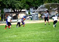 Bloomingdale bears 8-19-23 11:00 game