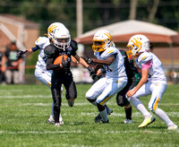 9.10.23 12U Jr Celtics v Wolverines_JA0021