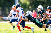 9.10.23 11U Jr Celtics v Elmhurst Bears_JA0024