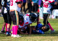 10.13.24 Bears v Tide_JA0572