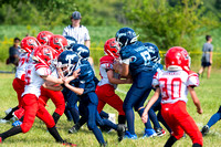 8.24.24 8U ARGOS V FOXES-8146