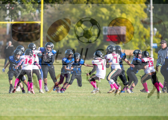 10.13.24 Bears v Tide_JA0515