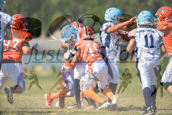 9.14.24 12U DAWGS -7753