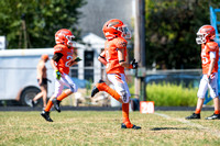 9.14.24 9U DAWGS ZEN-6759