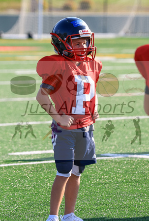 2024-07-31 OPP LW KJ-02