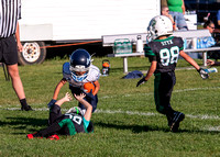 Mokena 8U 8-31-20