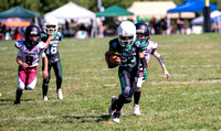 Mokena 8U 8-31-7