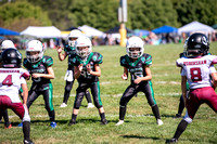 Mokena 8U 8-31-11