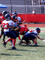 11-IMG_4629