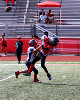 8-IMG_4649