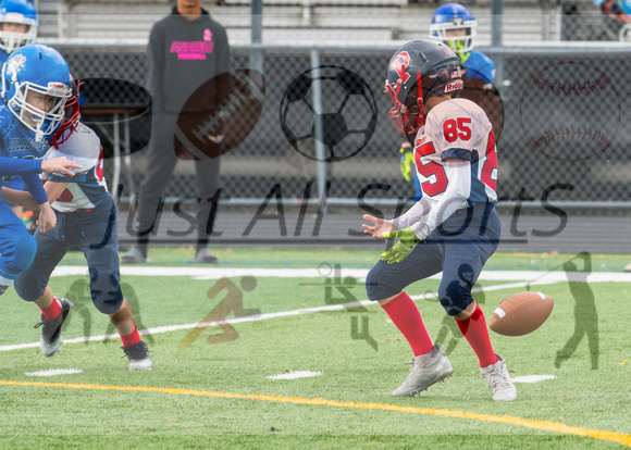 11.10.24 OP LW v Bulldogs_JA0014