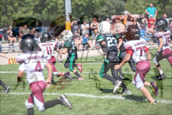 Mokena 8U 8-31-16