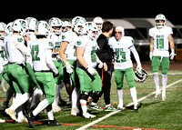 11.23.24 Elmhurst vs Naperville Playoff-6