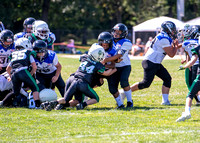 Mokena 9U 8-31-19