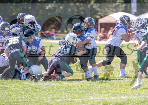 Mokena 9U 8-31-19