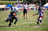 Mokena 8U 8-31-9