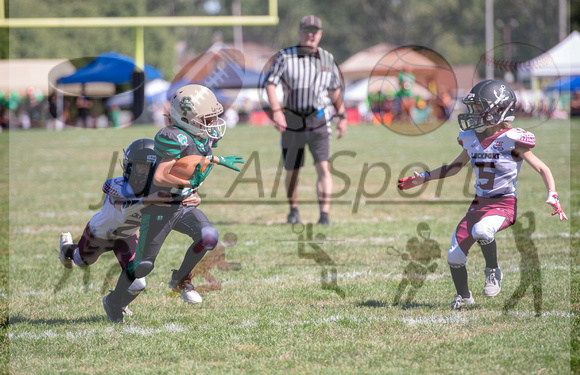 Mokena 8U 8-31-9