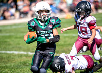 Mokena 8U 8-31-14