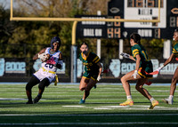 10.19.24 IHSA State Flag Finals-20