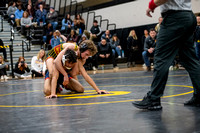 Streamwood Regional 2-4-22-14