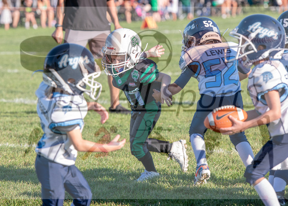 Mokena 8U 8-31-22