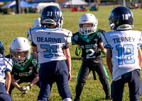 Mokena 8U 8-31-15