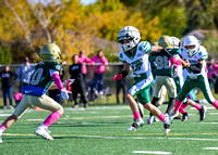 10.27.24 10u D2 Jr Celtics vs Rockford-14