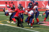 125-IMG_3629
