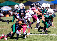 Mokena 8U 8-31-20