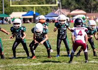 Mokena 8U 8-31-10