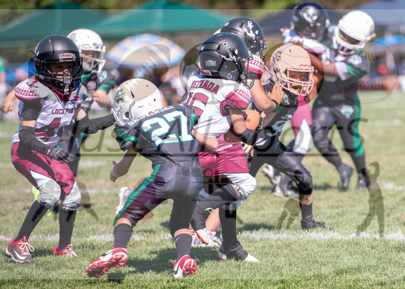 Mokena 8U 8-31-19