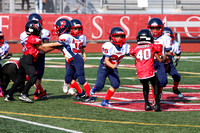 127-IMG_3627