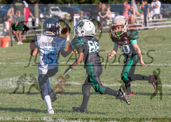 Mokena 8U 8-31-19