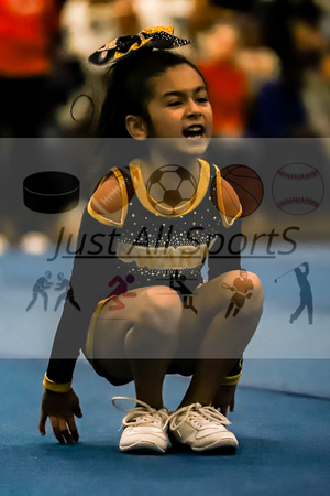 10.27.24 PW CHEER COMPETITION-15