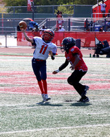 6-IMG_4660