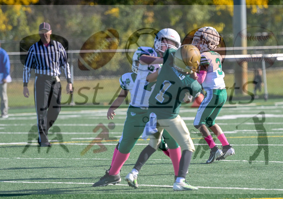 10.27.24 10u D2 Jr Celtics vs Rockford-19