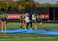 10.19.24 IHSA State Flag Finals-17